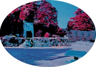 {short description of image}